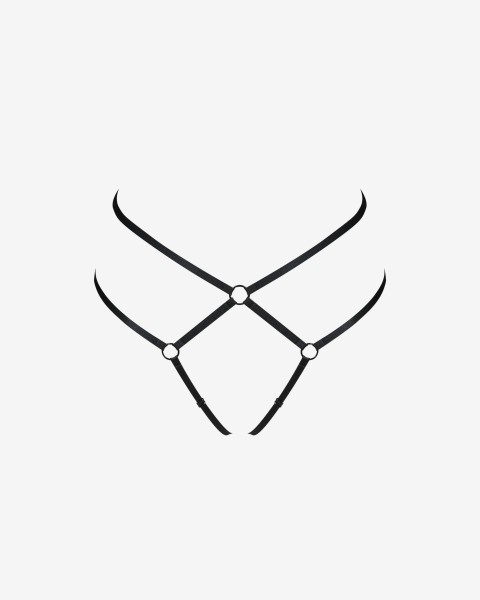 camila-harness-panties-promees