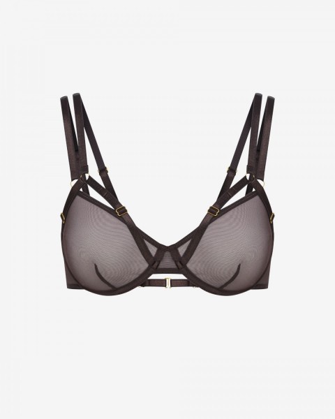 maia-bra-hneda-predok-promees